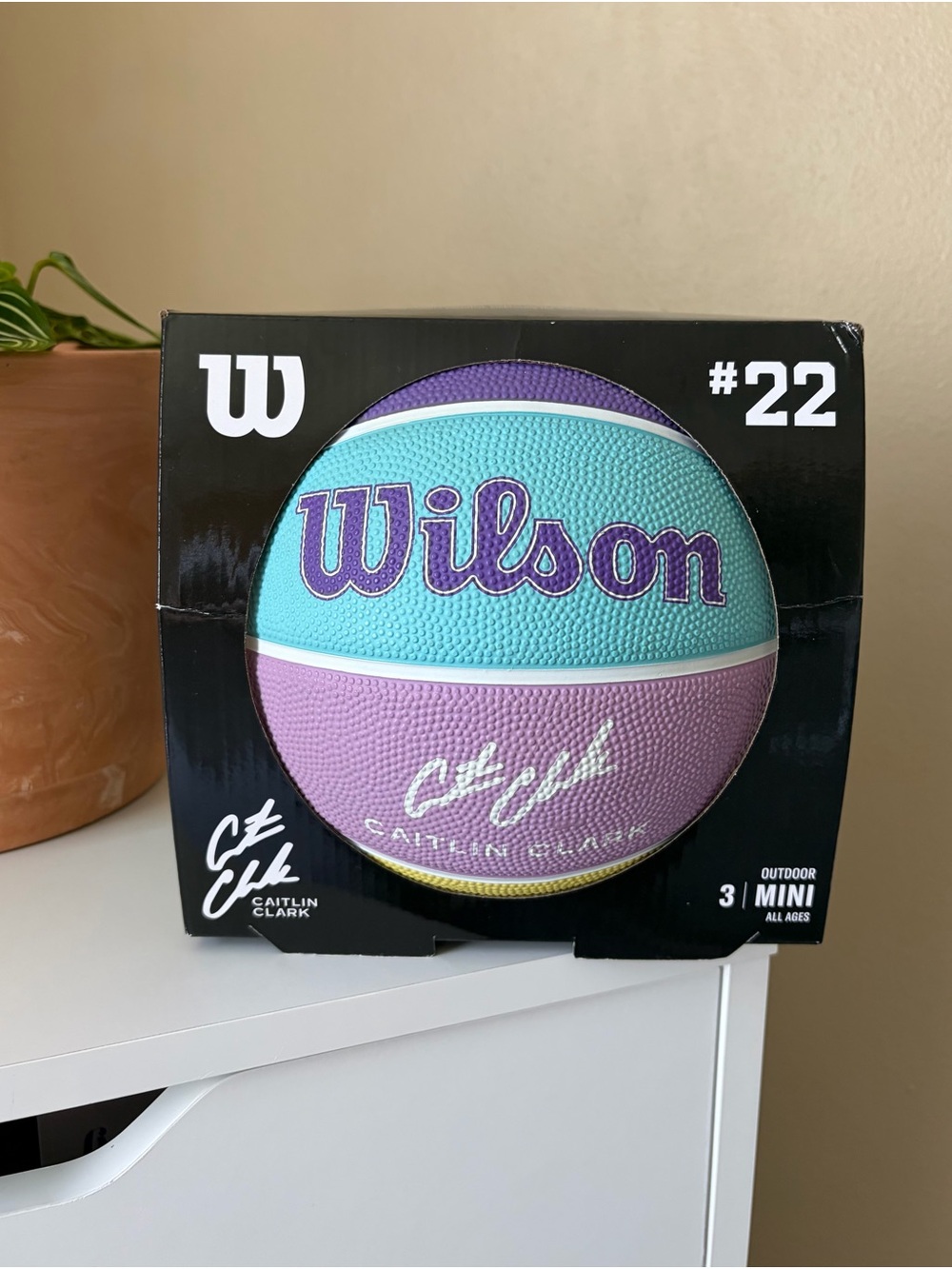 Caitlin Clark Mini Basketball